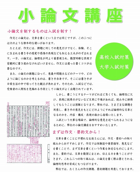 小論文講座のパンフレット